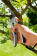 Картинка Секатор контактный Gardena SmartCut 8798 (08798-20.000.00) от магазина РЭССИ Секатор контактный Gardena SmartCut 8798 (08798-20.000.00) от магазина РЭССИ