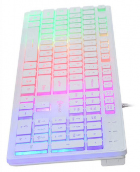 Клавиатура Оклик 550ML белый USB slim Multimedia LED от магазина РЭССИ